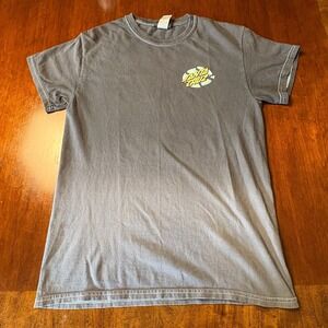 Vintage Santa Cruz Classic Dot Logo Gray Skate Graphic T-Shirt Small